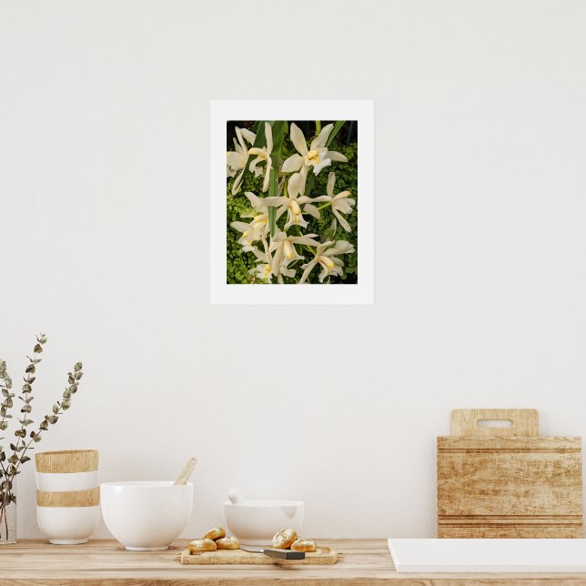 Póster Orquídeas Blancas y Helechos Florales (Cocina)