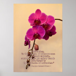 Póster Orquídeas con cita milagrosa