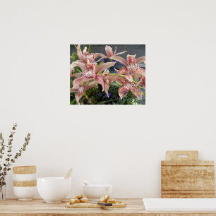 Póster Orquídeas Cymbidium Florales Manchadas de Rojo