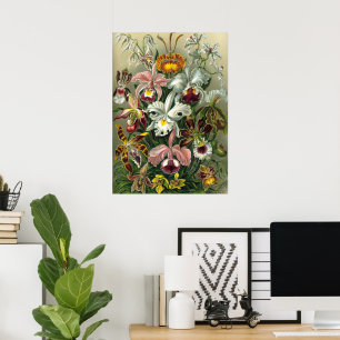Póster Orquídeas de Ernst Haeckel, Flores Vintage de la S