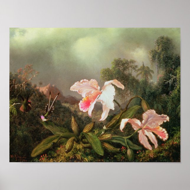 Póster Orquídeas de selva y colibríes, 1872 (Frente)