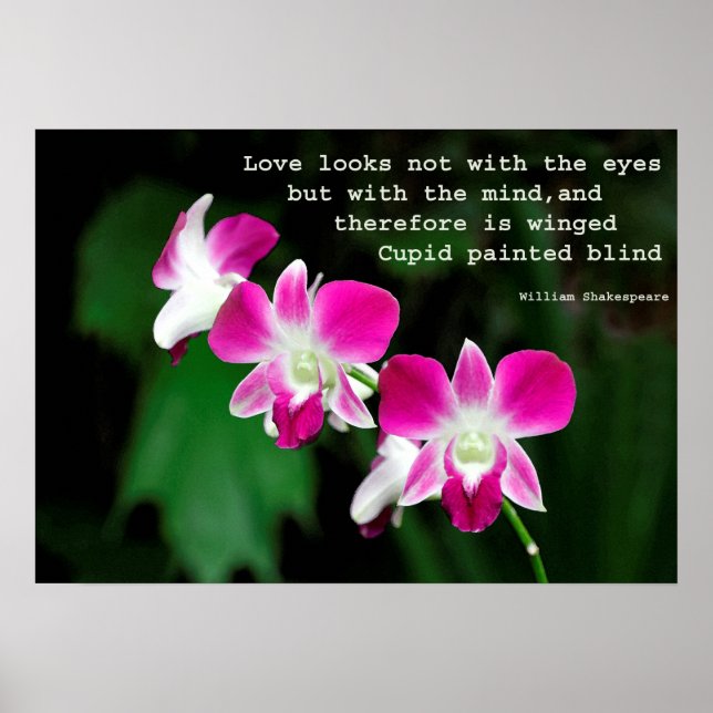 Póster Orquídeas en Acuarela (Frente)