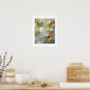 Póster Orquídeas Florales Amarillo Pálido