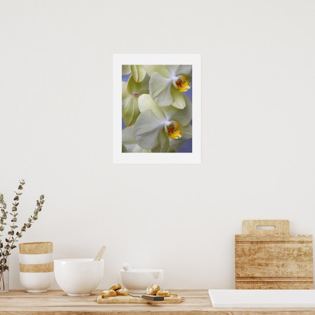 Póster Orquídeas Florales Amarillo Pálido (Cocina)