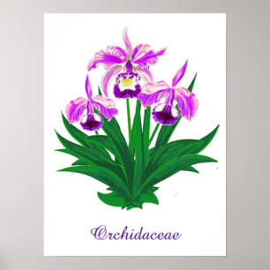 Póster Orquídeas silvestres - Orquídeas y follaje púrpura