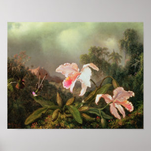 Póster Orquídeas y colibríes, 1872 de la selva