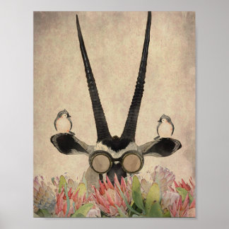 Póster Oryx detrás de las flores de Protea