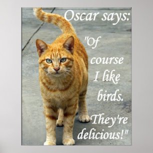 Póster oscar ama a los pájaros