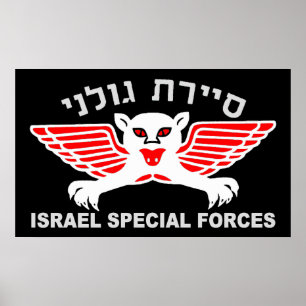 Póster Oscuridad renovada de Golani