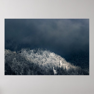 Póster Oscuridad y sol sobre bosque de abetos nevado