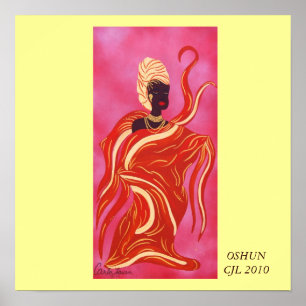 PÓSTER OSHUNCJL 2010