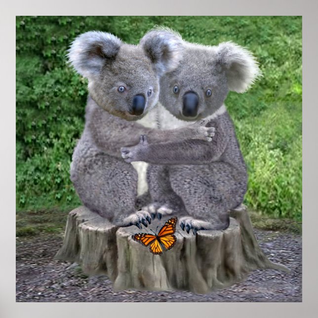 Póster Ositos koala bebé se abrazan (Frente)