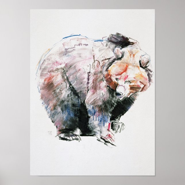 Póster Oso (Frente)