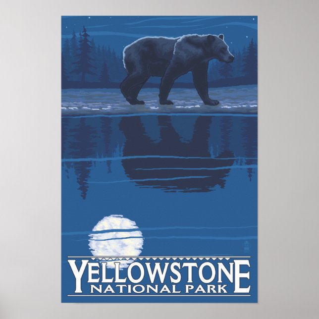 Póster Oso bajo la luz de la luna - Parque nacional Yello (Frente)