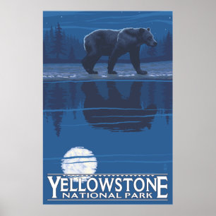 Póster Oso bajo la luz de la luna - Parque nacional Yello