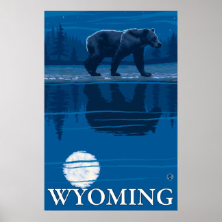 Póster Oso bajo luz de luna - Wyoming