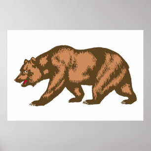 Póster Oso de California