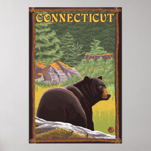 Póster Oso de ConnecticutBlack en bosque
