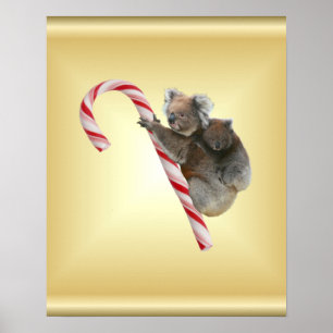 Póster Oso de koala y bastón de caramelo de Joey Cub