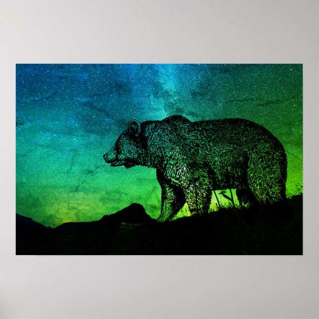 Póster Oso De Noche Y Aurora Borealis (Frente)