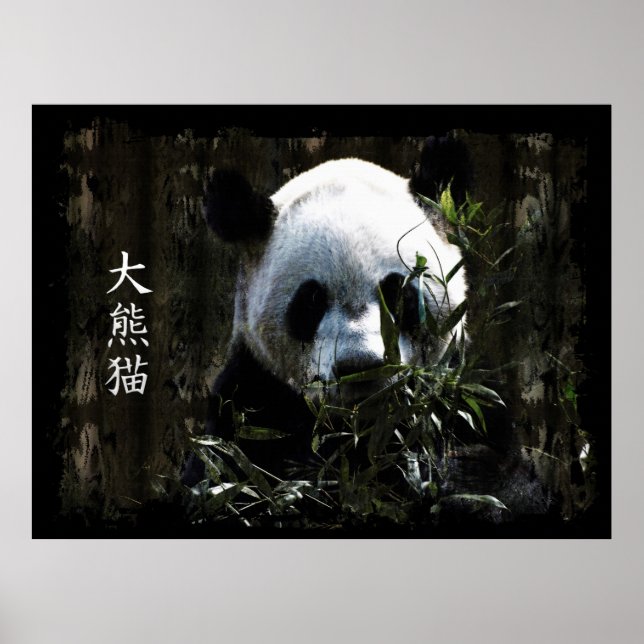 Póster Oso de Panda gigante con deliciosas hojas de bambú (Frente)