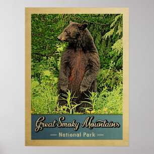 Póster Oso del Parque Nacional de las Grandes Montañas Ah