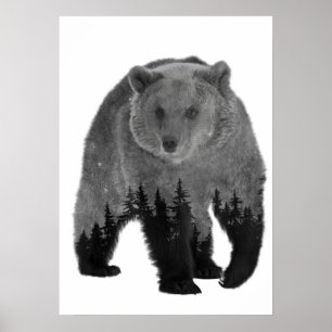 Póster Oso Doble Exposición Bosque Árboles Noche