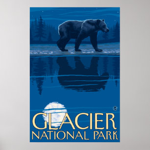Póster Oso en claro de luna - Parque Nacional Glacier, TA