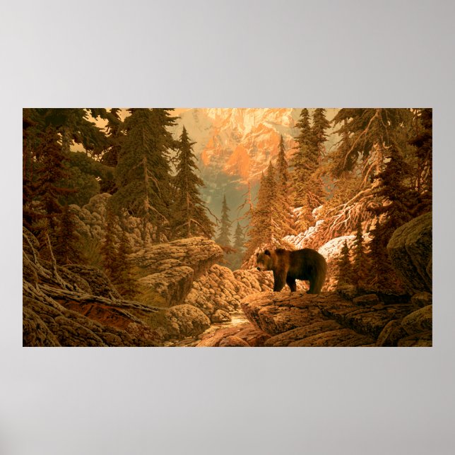 Póster Oso en el oso de las montañas rocosas, marrón, ani (Frente)
