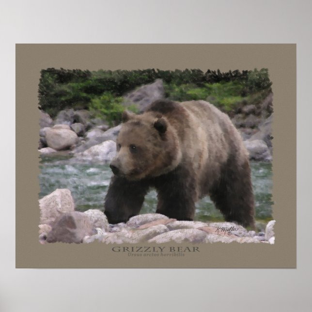 Póster Oso Grizzly - Pasteles (Frente)