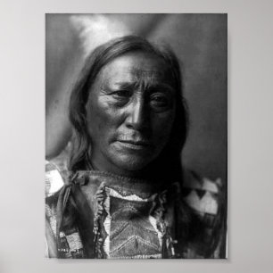 Póster Oso hueco del cuerno