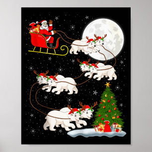 Póster Oso Lar Santa Trineo Volador Divertido Mágico Chri