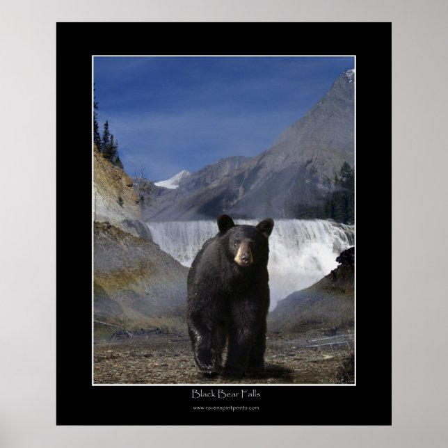 Póster OSO NEGRO CAE Poster de fotos (Frente)