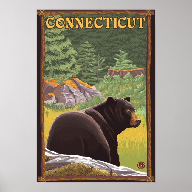 Póster Oso negro de Connecticut en el bosque (Frente)