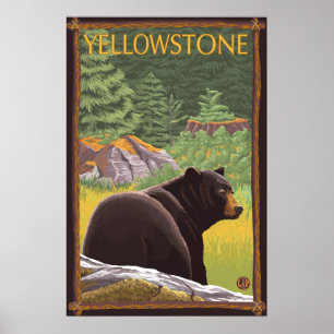 Póster Oso Negro en el bosque - Parque Nacional Yellowsto