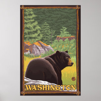 Póster Oso Negro en el bosque - Washington