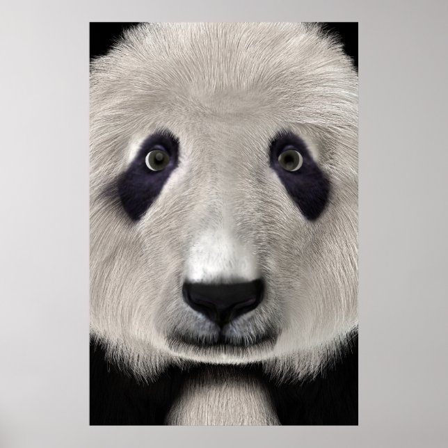 Póster Oso Panda (Frente)