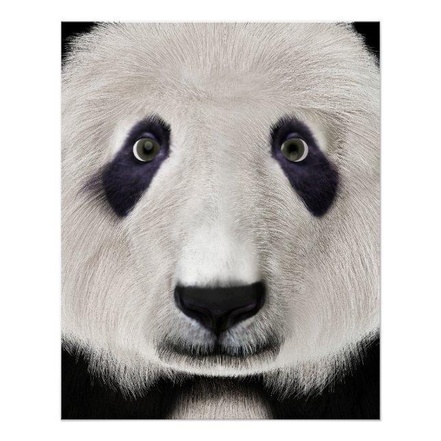 Póster Oso Panda (Anverso)