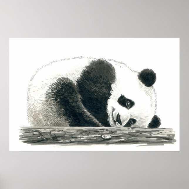 Póster Oso panda (Frente)