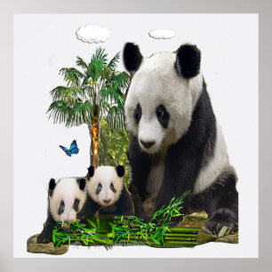Póster Oso panda diseña poster