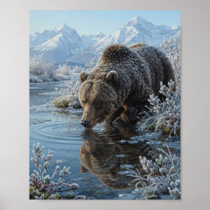 Póster Oso Pardo Bebiendo Reflexión del Río Helado Alas