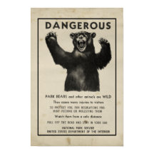 Oso Peligroso del Parque Yellowstone 1959