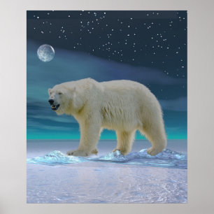 Póster Oso Polar a la luz de la luna