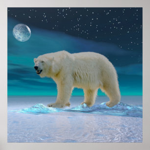 Póster Oso Polar a la luz de la luna