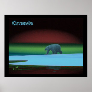Póster Oso Polar de Luces Polares
