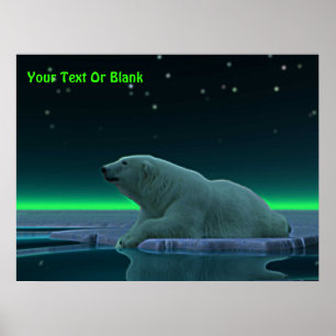 Póster Oso polar del borde del hielo