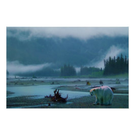 Póster Oso Raro-Kermode (oso espiritual) y río Misty