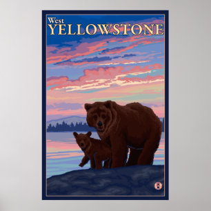 Póster Oso y cubo - Yellowstone occidental, Montana