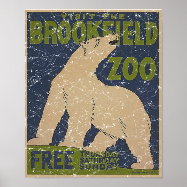 Póster Oso zoológico-polar de Brookfield (Frente)