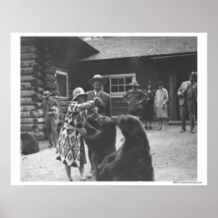 Póster Osos de alimentación de la mujer